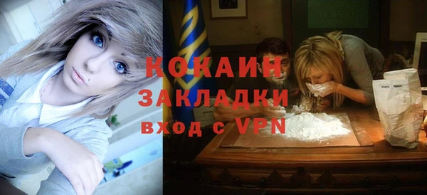дживик Надым
