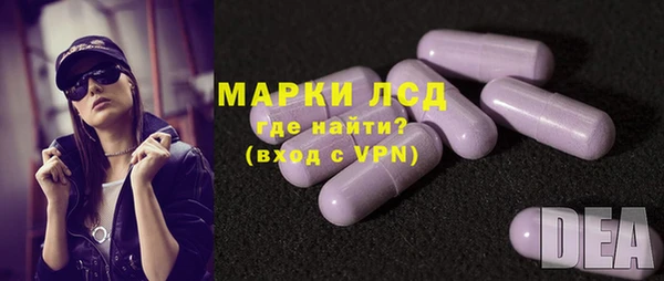 дживик Надым