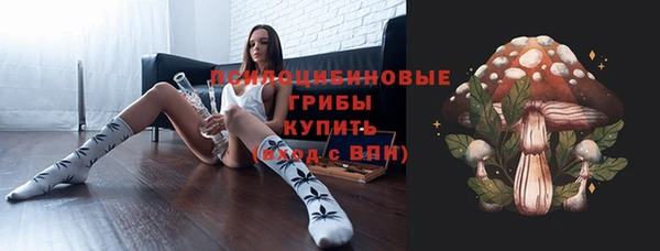 дживик Надым