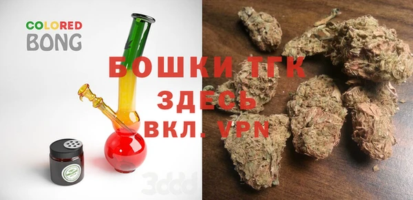 дживик Надым