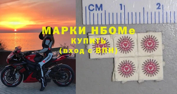 дживик Надым