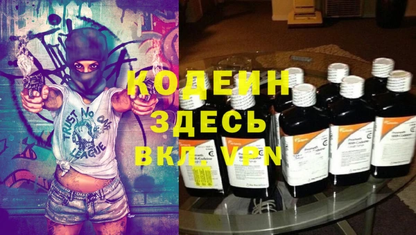 дживик Надым