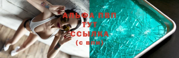дживик Надым